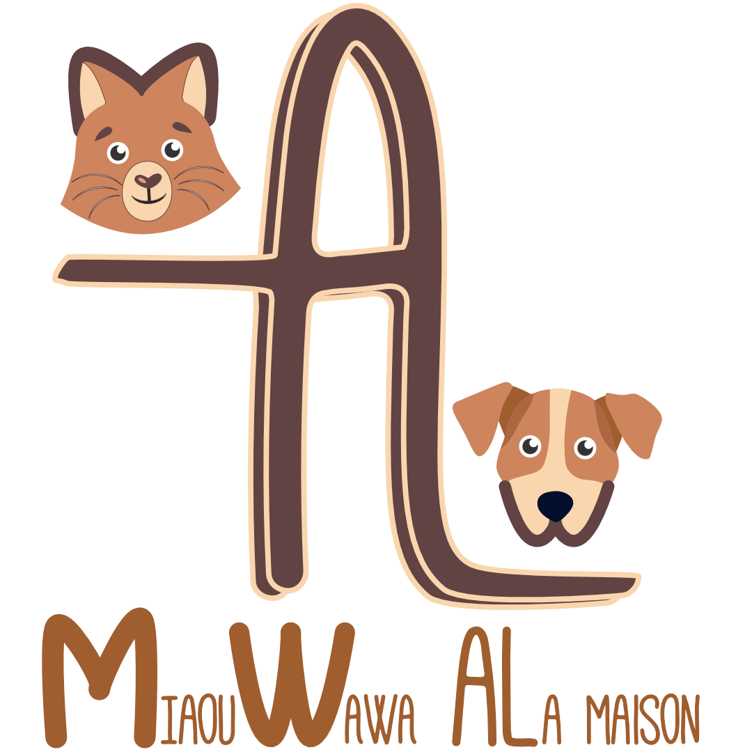 Miaou Wawa AL a maison